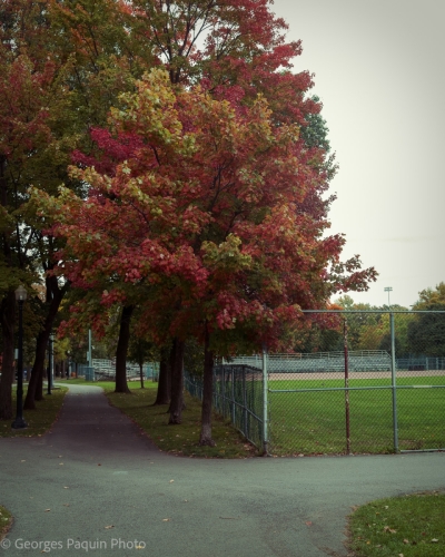 Parc Lafontaine