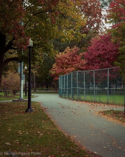 Parc Lafontaine