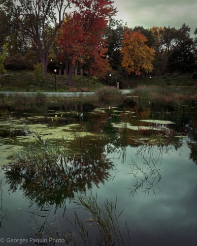 Parc Lafontaine