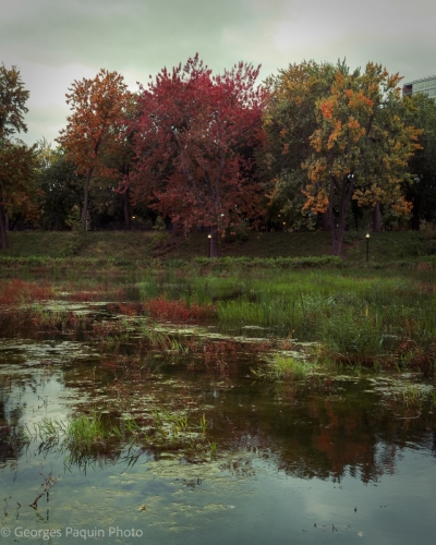 Parc Lafontaine