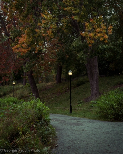 Parc Lafontaine