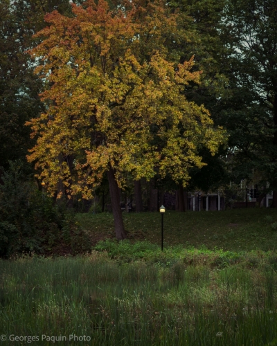 Parc Lafontaine