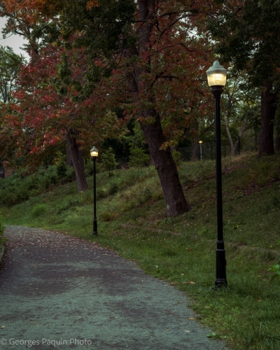 Parc Lafontaine