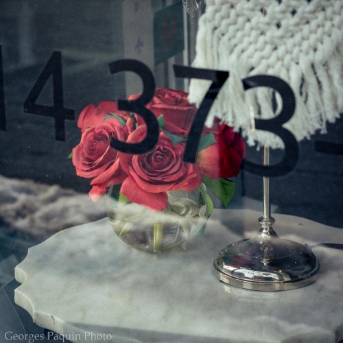 "373" et fleurs